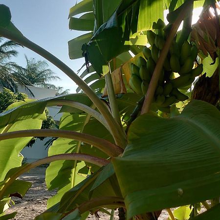 Case Traditionnelle Diola Au Bord De L'Ocean Cap Skirring Εξωτερικό φωτογραφία